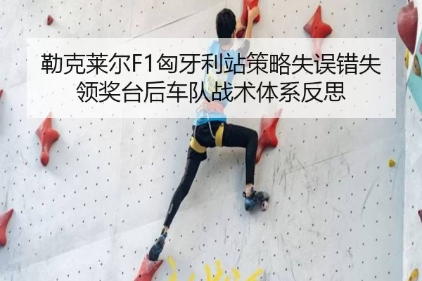 lei-ke-lai-er-xiong-ya-li-zhan-ce-lve-shi-wu-cuo-shi-ling-jiang-tai-hou-che-dui-zhan-shu-ti-xi-fan-si-3-936.jpg