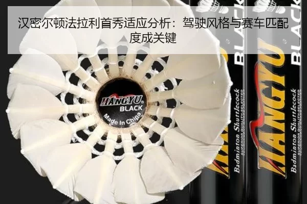 汉密尔顿法拉利首秀适应分析：驾驶风格与赛车匹配度成关键
